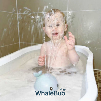 WhaleBub